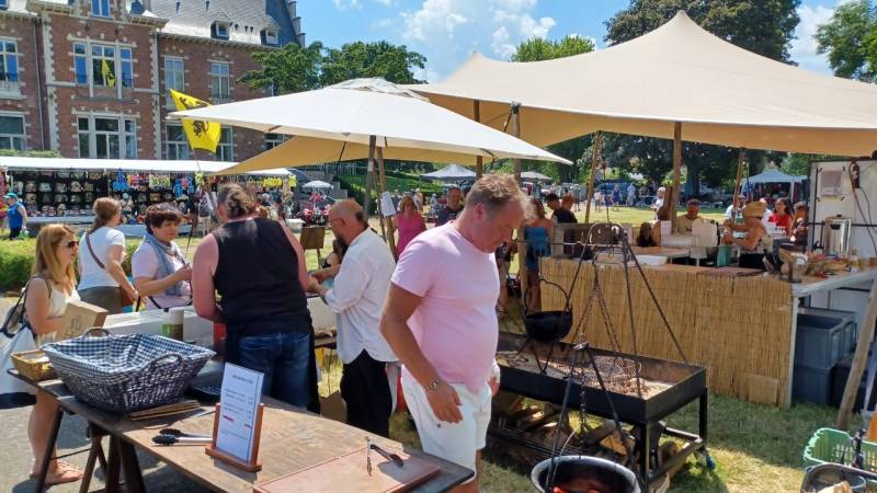Emelkoen bruist  35 - Reuze Rommelmarkt met Boeken-, Vinyl- en CD‑Beurs in Humelgem 